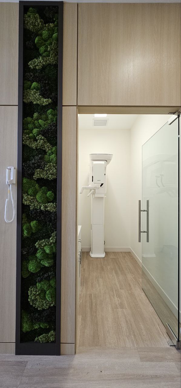 Grove Dental